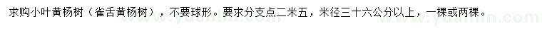 求购米径36公分以上小叶黄杨