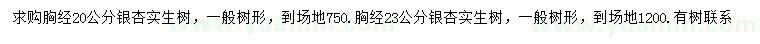 求购胸径20、23公分银杏