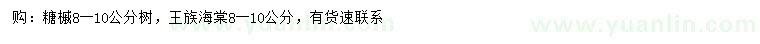 求购8-10公分糖槭、王族海棠