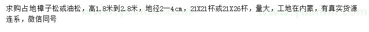 求购高1.8-2.8米樟子松、油松