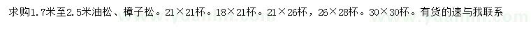 求购1.7-2.5米油松、樟子松