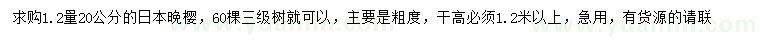 求购1.2米量20公分日本晚樱