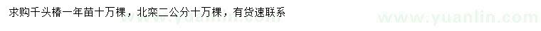 求购一年生千头椿、2公分北栾