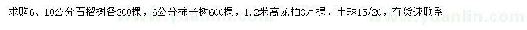 求购石榴树、柿子树、龙柏