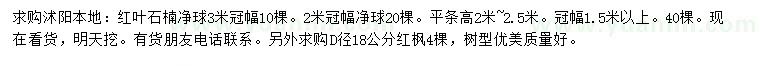 求购冠幅1.5、2、3米红叶石楠球、地径18公分红枫