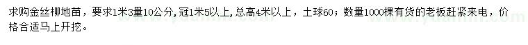 求购1.3米量10公分金丝柳