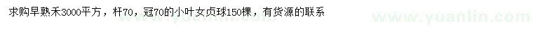 求购早熟禾、冠幅70公分小叶女贞球