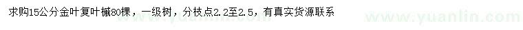 求购15公分金叶复叶槭