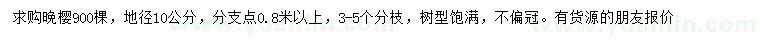 求购地径10公分晚樱