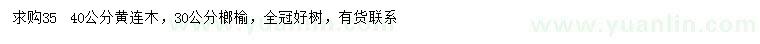 求购35、40公分黄连木、30公分榔榆