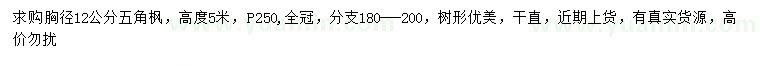 求购胸径12公分五角枫