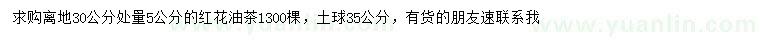 求购离地30公分处量5公分红花油茶