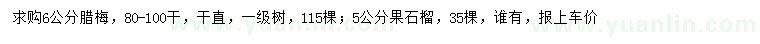 求购6公分腊梅、5公分果石榴