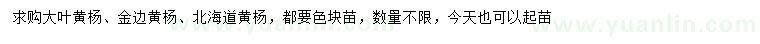 求购大叶黄杨、金边黄杨、北海道黄杨