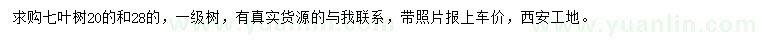 求购20、28公分七叶树