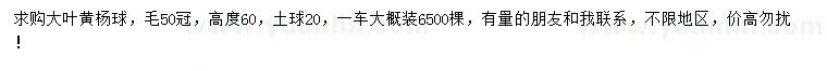 求购冠幅50公分大叶黄杨球