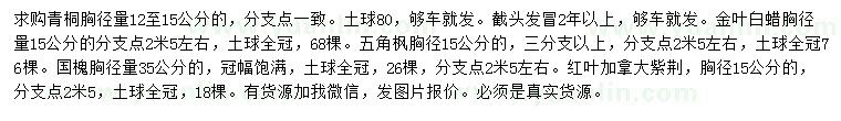 求购青桐、金叶白蜡、五角枫等