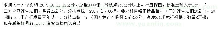 求购榉树、法桐、黄连木