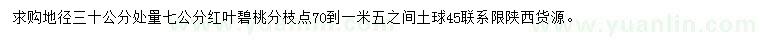 求购地径30公分量7公分红叶碧桃