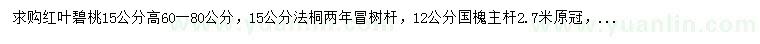 求购红叶碧桃、法桐、国槐