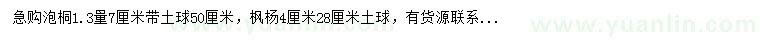 求购泡桐、枫杨