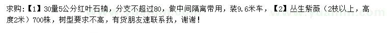 求购30量5公分红叶石楠、高2米度