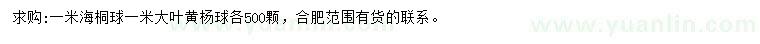 求购1米海桐、大叶黄杨