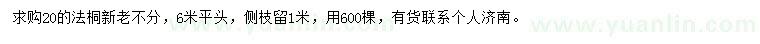 求购法桐