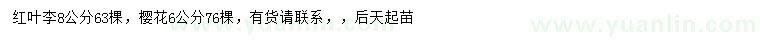 求购8公分红叶李、6公分樱花