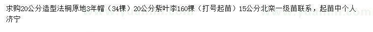 求购造型法桐、紫叶李、北栾