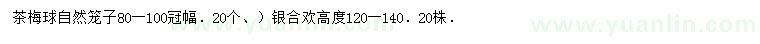 求购冠幅80-100公分茶梅球、高度120-140公分银合欢