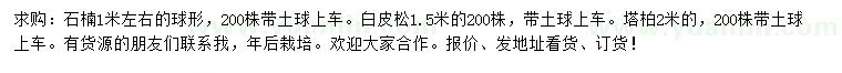 求购1米左右石楠、1.5米白皮松