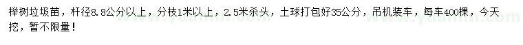 求购杆径8.8公分以上榉树垃圾苗