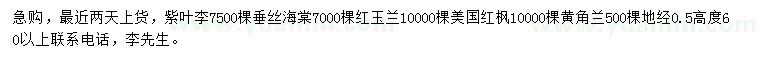 求购紫叶李、垂丝海棠、红玉兰等