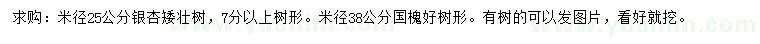 求购米径25公分银杏、米径38公分国槐