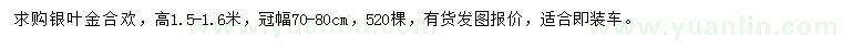 求购高1.5-1.6米银叶金合欢