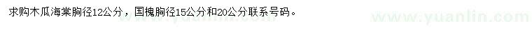 求购12公分木瓜海棠、15、20公分国槐