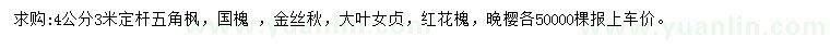 求购五角枫、国槐 、金丝秋等