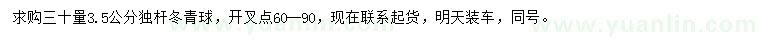 求购30量3.5公分独杆冬青球