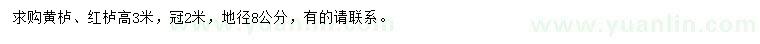 求购高3米黄栌、红栌