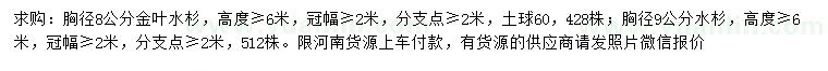 求购胸径8公分金叶水杉、9公分水杉