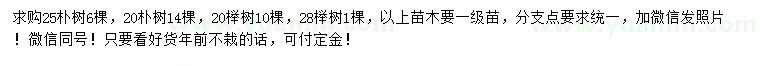 求购20、25公分朴树、20、28公分榉树