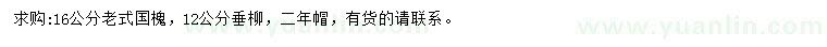 求购16公分国槐、12公分垂柳