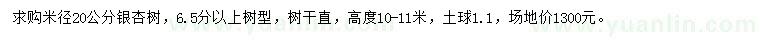 求购米径20公分银杏