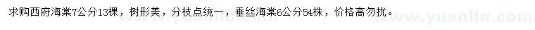 求购7公分西府海棠、6公分垂丝海棠