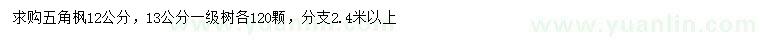 求购12、13公分五角枫