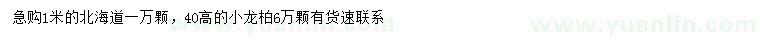 求购1米北海道、高40公分小龙柏