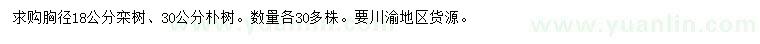 求购18公分栾树、30公分朴树