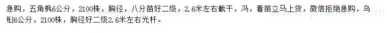 求购胸径6公分五角枫、乌桕