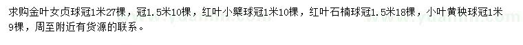 求购金叶女贞球、红叶小檗球、红叶石楠球等